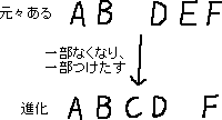 なし_a0003166_23222511.gif