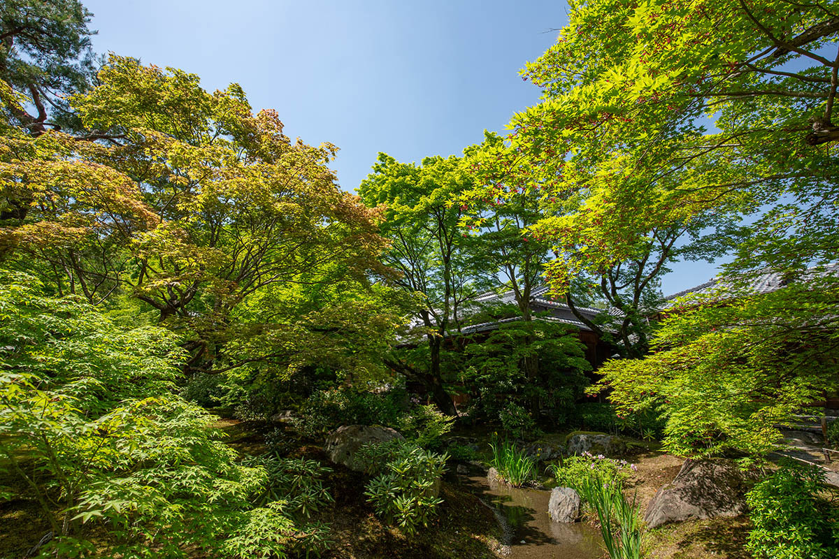 嵐山 宝厳院_a0003166_23245087.jpg