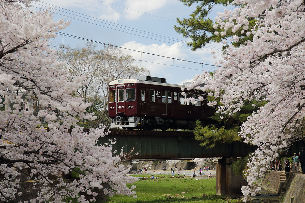 夙川の桜 （苦楽園口、４月２日）_a0003166_23281671.jpg