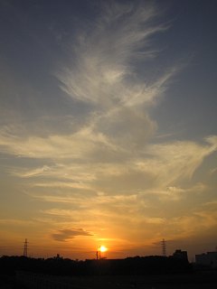 真正面_a0003166_23284266.jpg