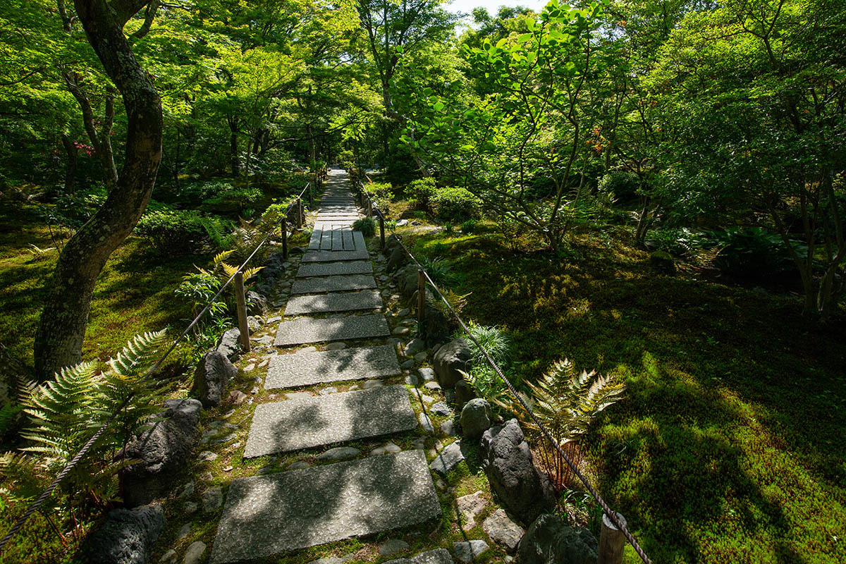 嵐山　宝筐院_a0003166_23333737.jpg
