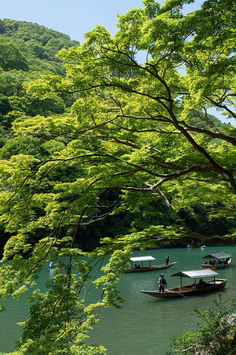 嵐山_a0003166_23354181.jpg