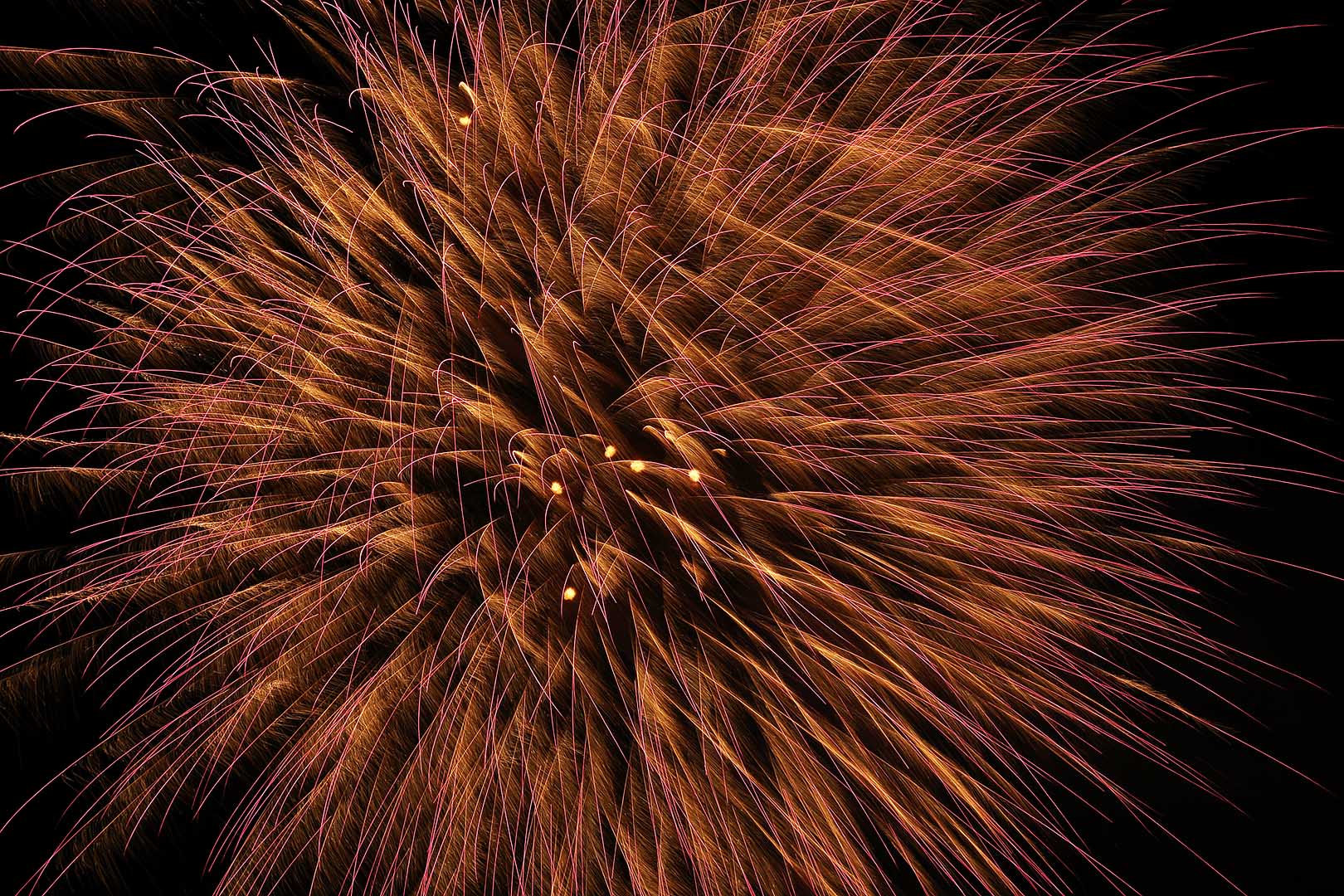 花火 （天神祭）_a0003166_23354234.jpg