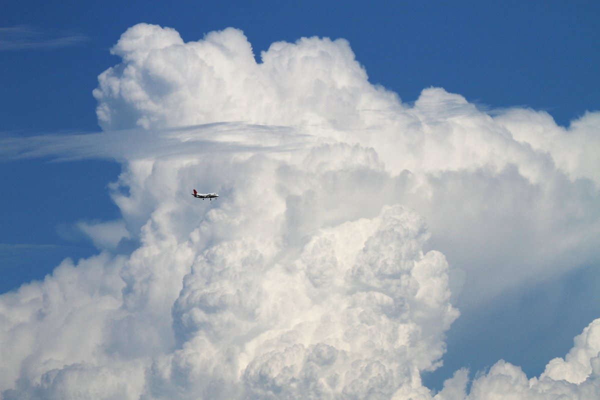 夏の空_a0003166_23372524.jpg