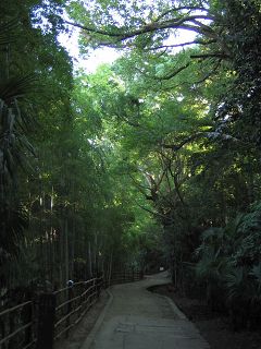 光だけ見える_a0003166_2337722.jpg
