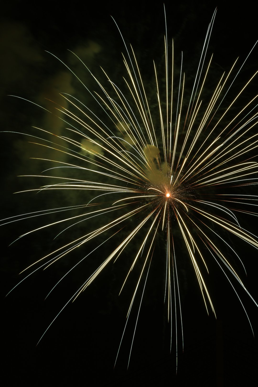 花火　（いたみ花火大会）_a0003166_23381894.jpg
