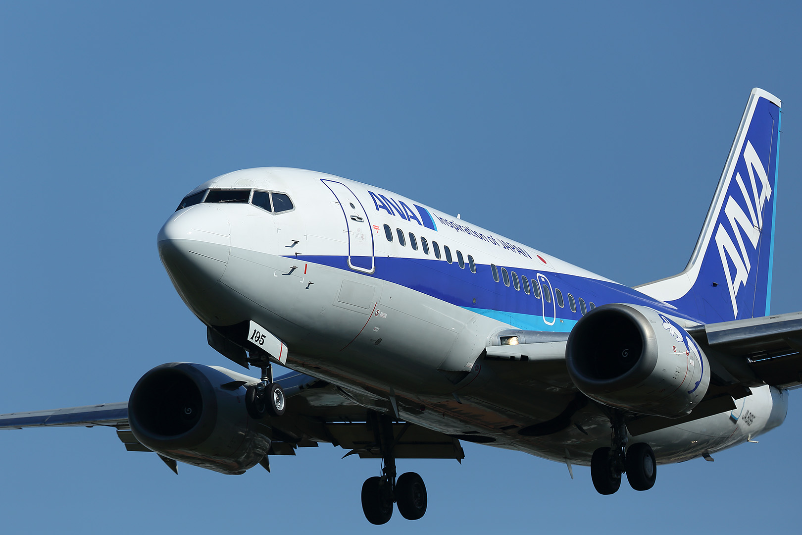 飛行機 （伊丹空港）_a0003166_23393737.jpg