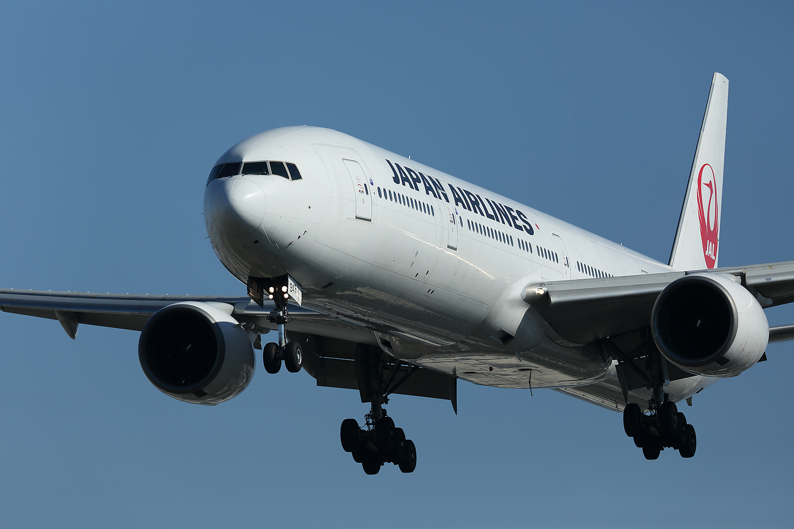 飛行機 （伊丹空港）_a0003166_23395046.jpg