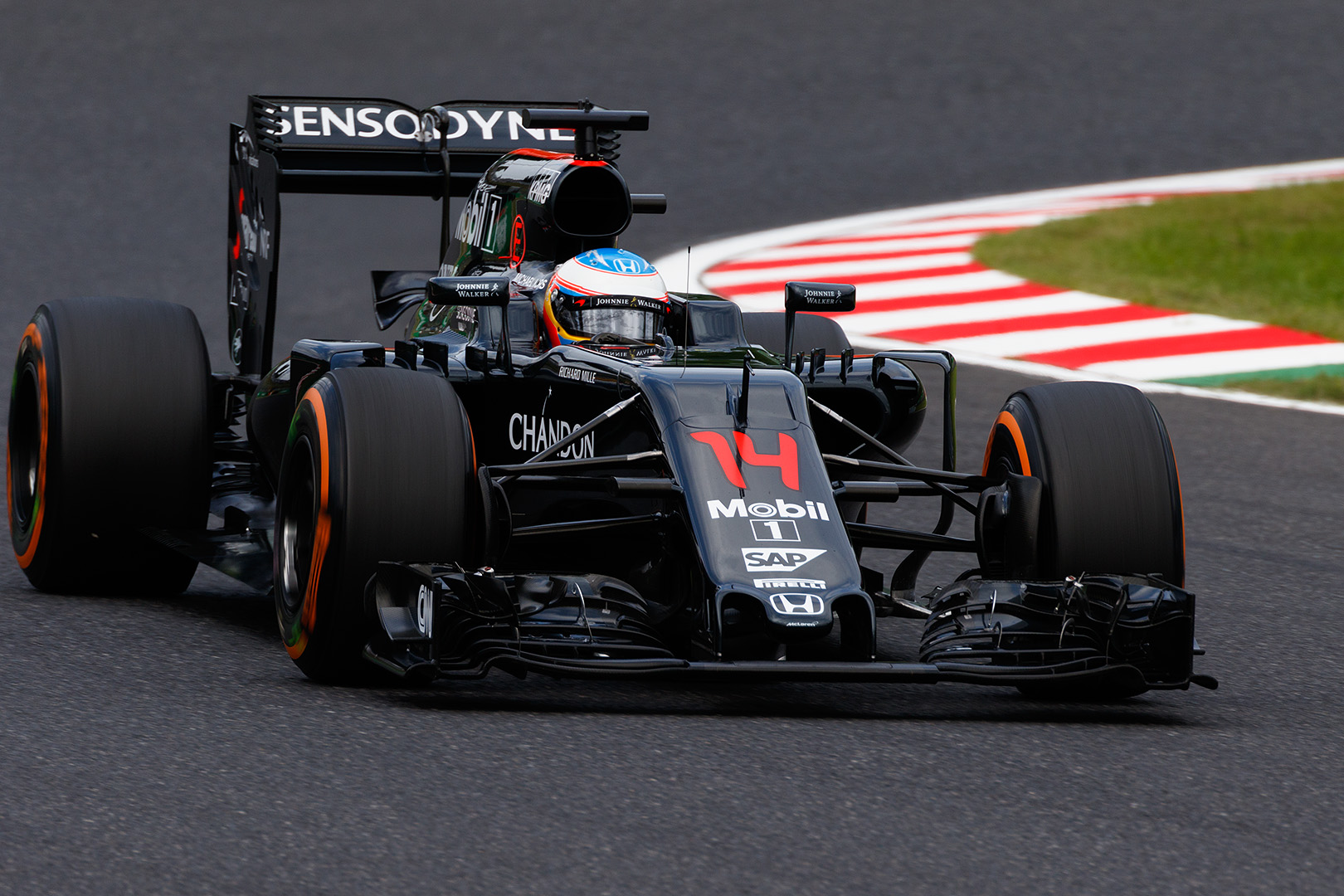 F1 日本ＧＰ_a0003166_23424946.jpg