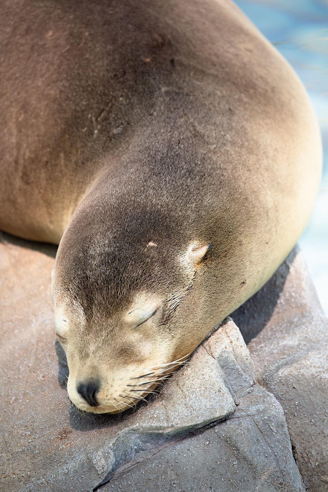 王子動物園_a0003166_23434041.jpg