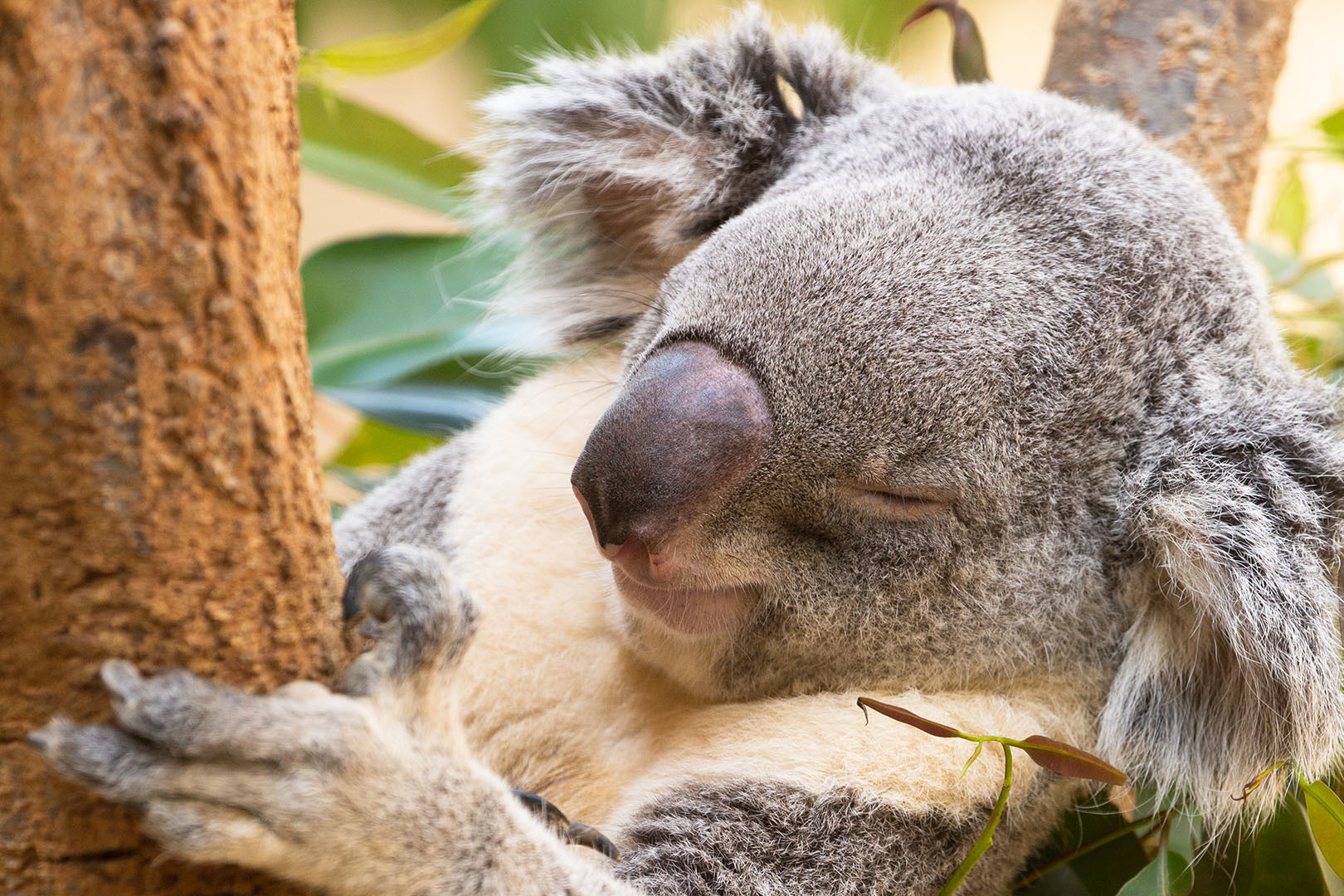 王子動物園_a0003166_23434044.jpg