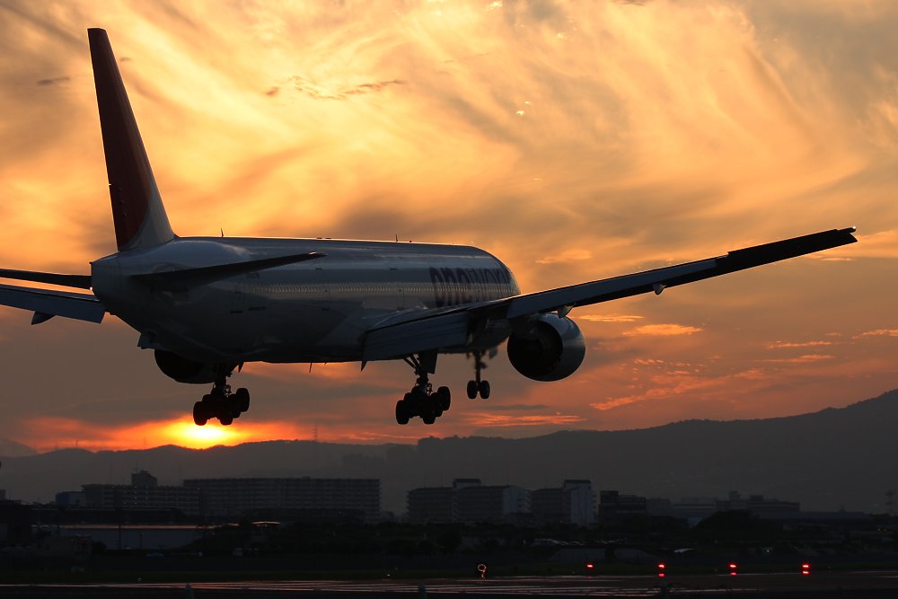 飛行機（千里川、伊丹スカイパーク）_a0003166_23442459.jpg