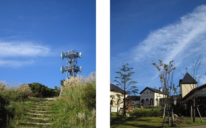 なし_a0003166_23442862.jpg