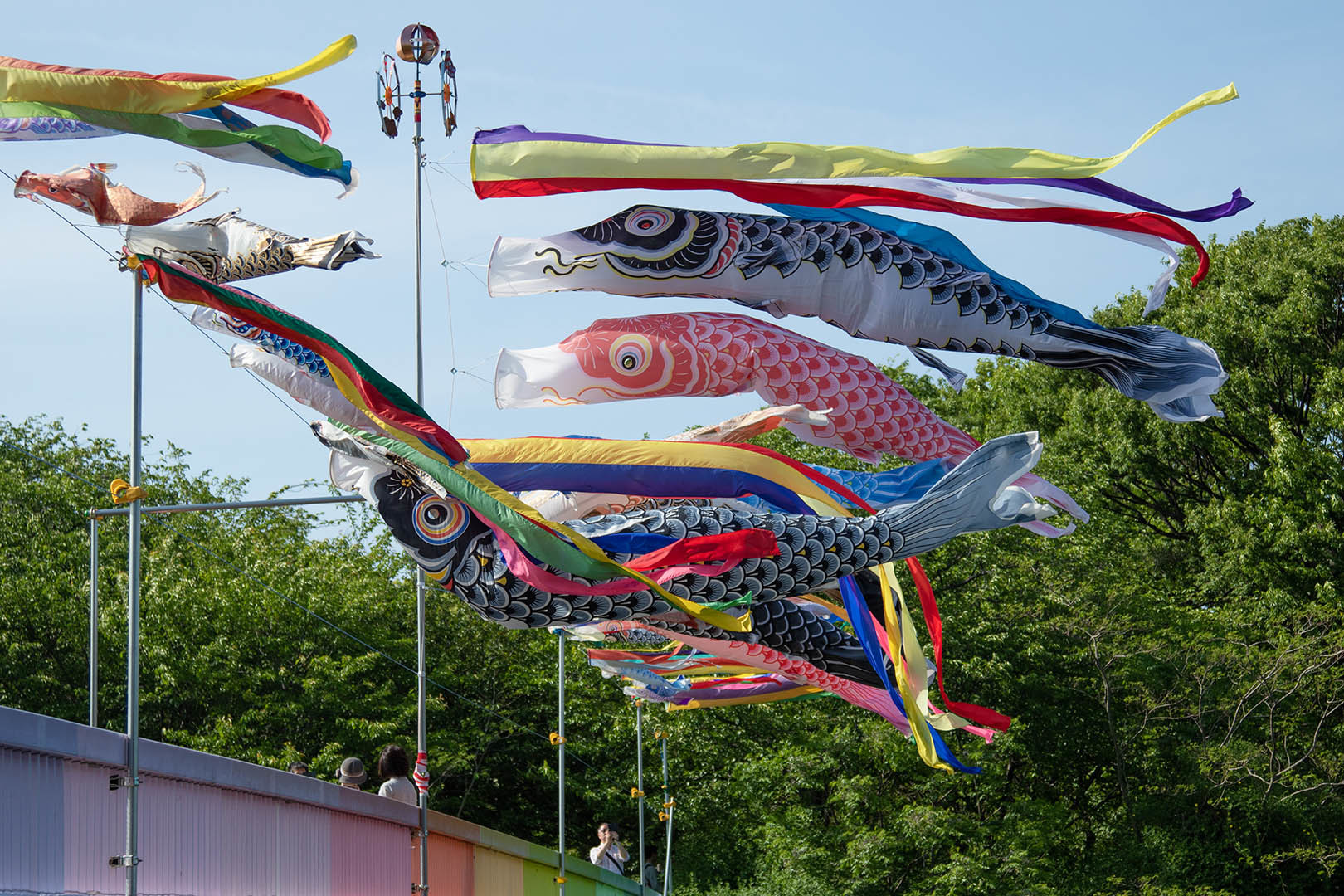 バラなど （長居植物園）_a0003166_23515946.jpg