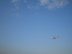 下からのぞけばアソコも丸見え_a0003166_23524046.jpg