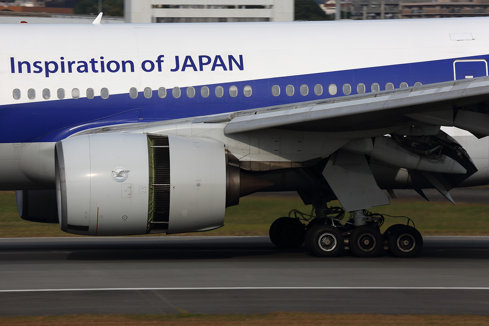飛行機 （伊丹空港）_a0003166_23532068.jpg