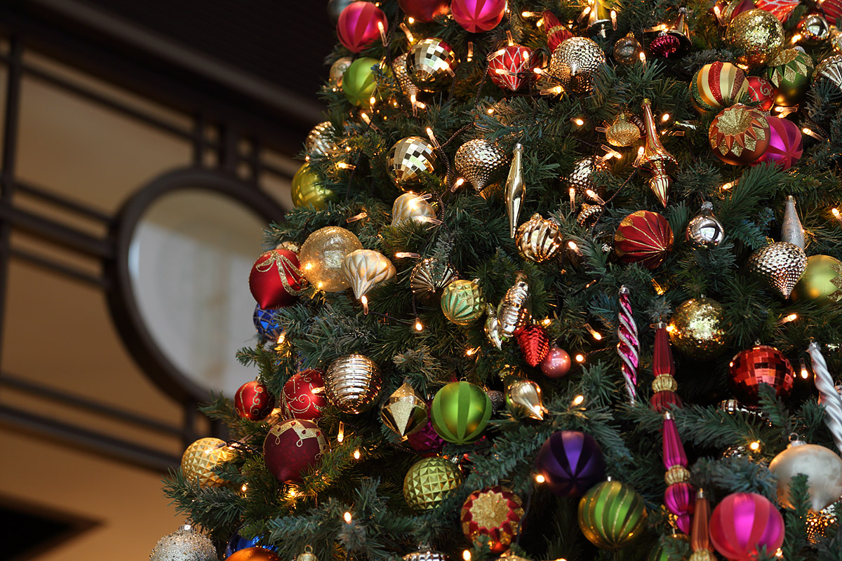 クリスマスツリーなど_a0003166_23533761.jpg