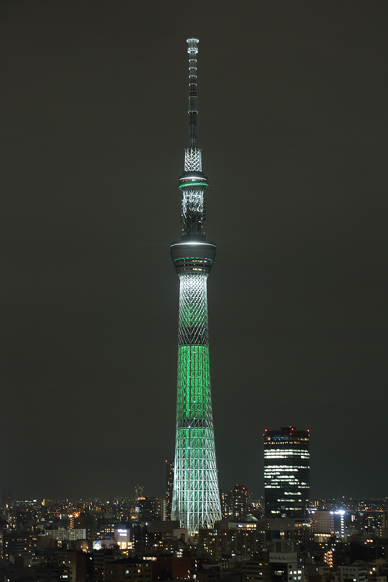 クリスマスツリーなど_a0003166_23534199.jpg