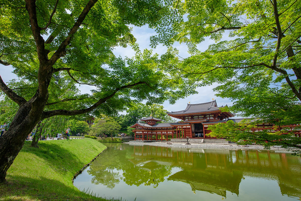 宇治_a0003166_23535873.jpg