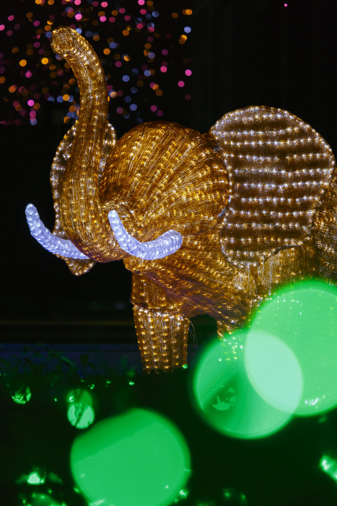 あべの・天王寺イルミナージュ （天王寺公園）_a0003166_2353913.jpg
