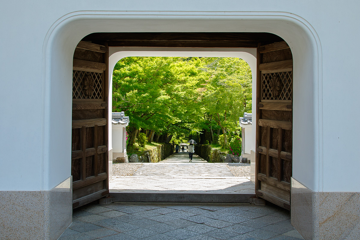 宇治 興聖寺など_a0003166_23541450.jpg