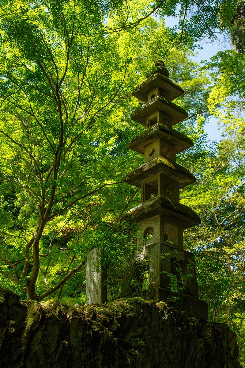 宇治 興聖寺など_a0003166_23541499.jpg