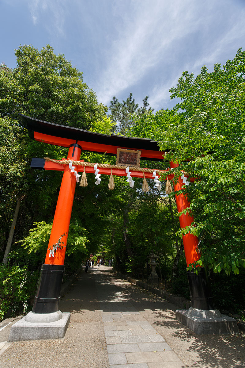 宇治 興聖寺など_a0003166_23541569.jpg
