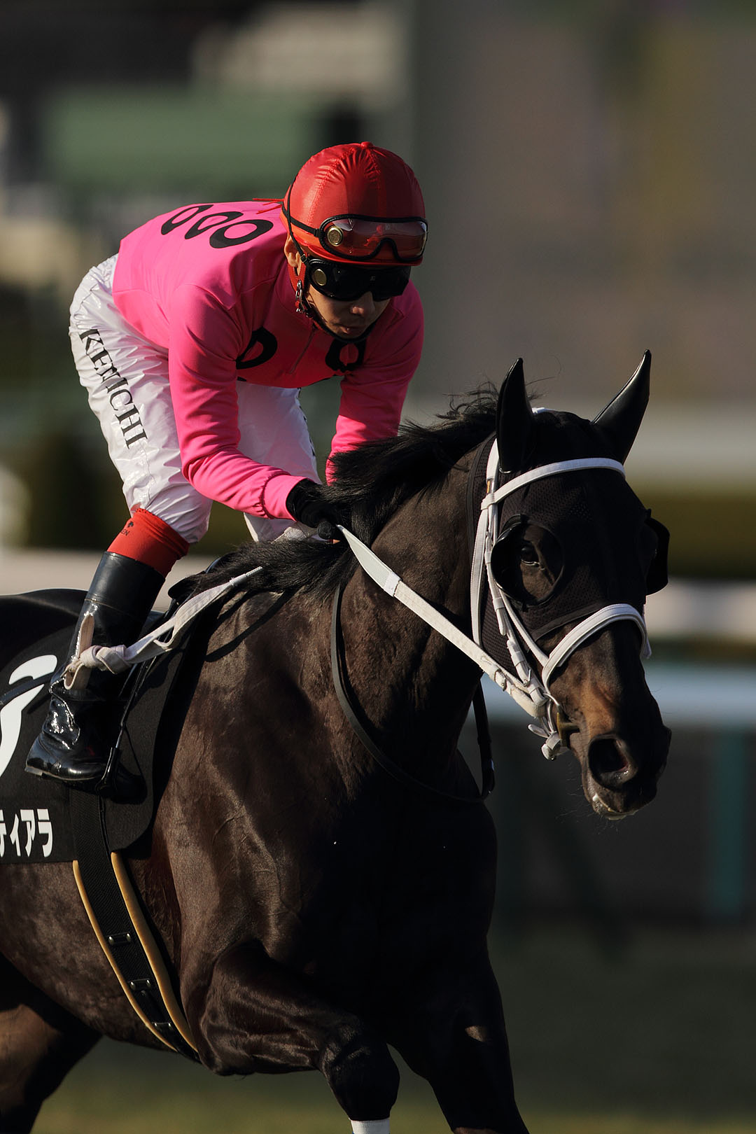 馬　（阪神競馬場）　２０１４年 年賀状用_a0003166_23542534.jpg