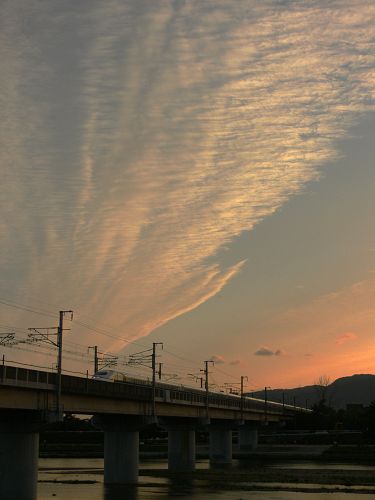 くも_a0003166_23544880.jpg