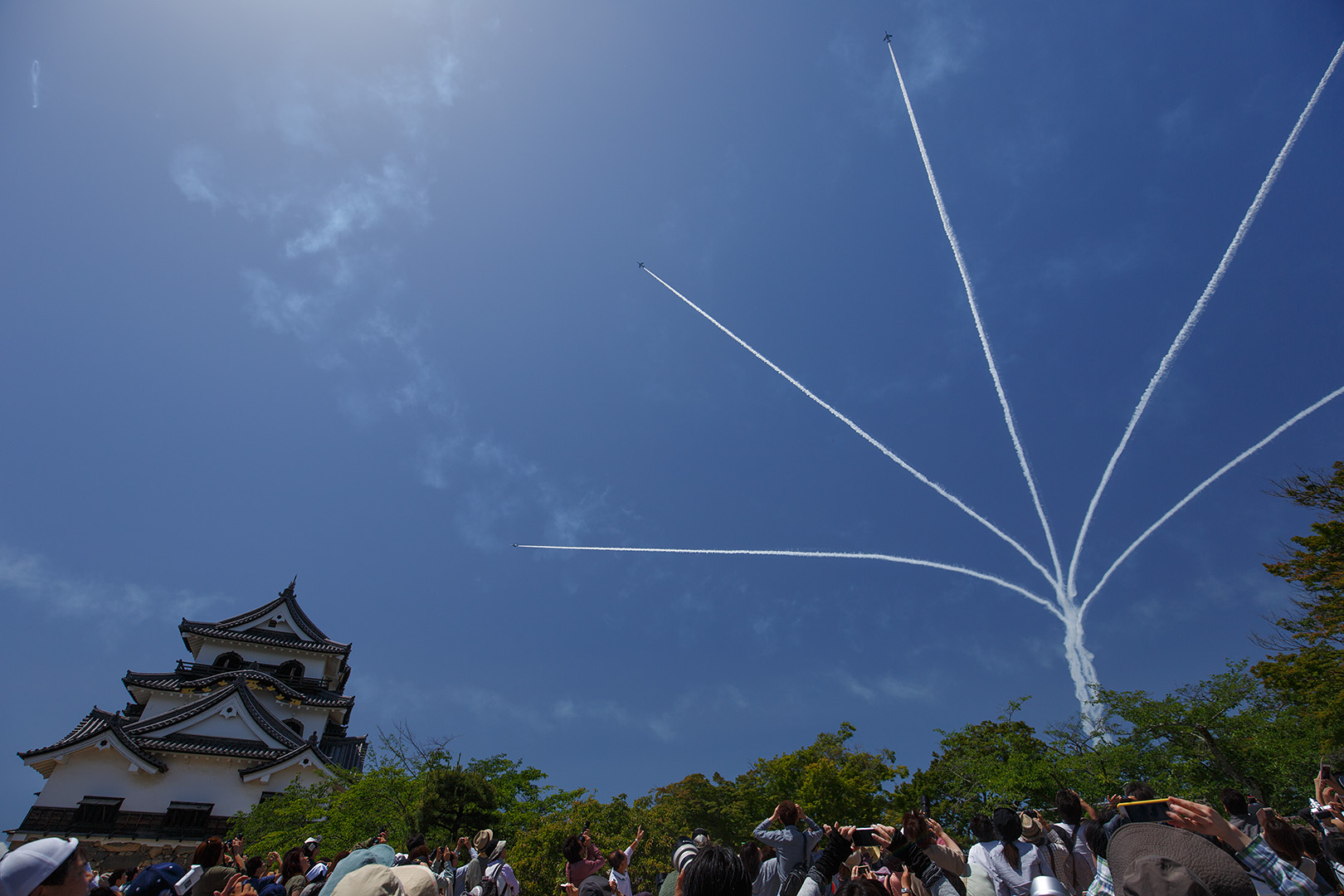 彦根城築城410年祭　ブルーインパルス_a0003166_2354791.jpg