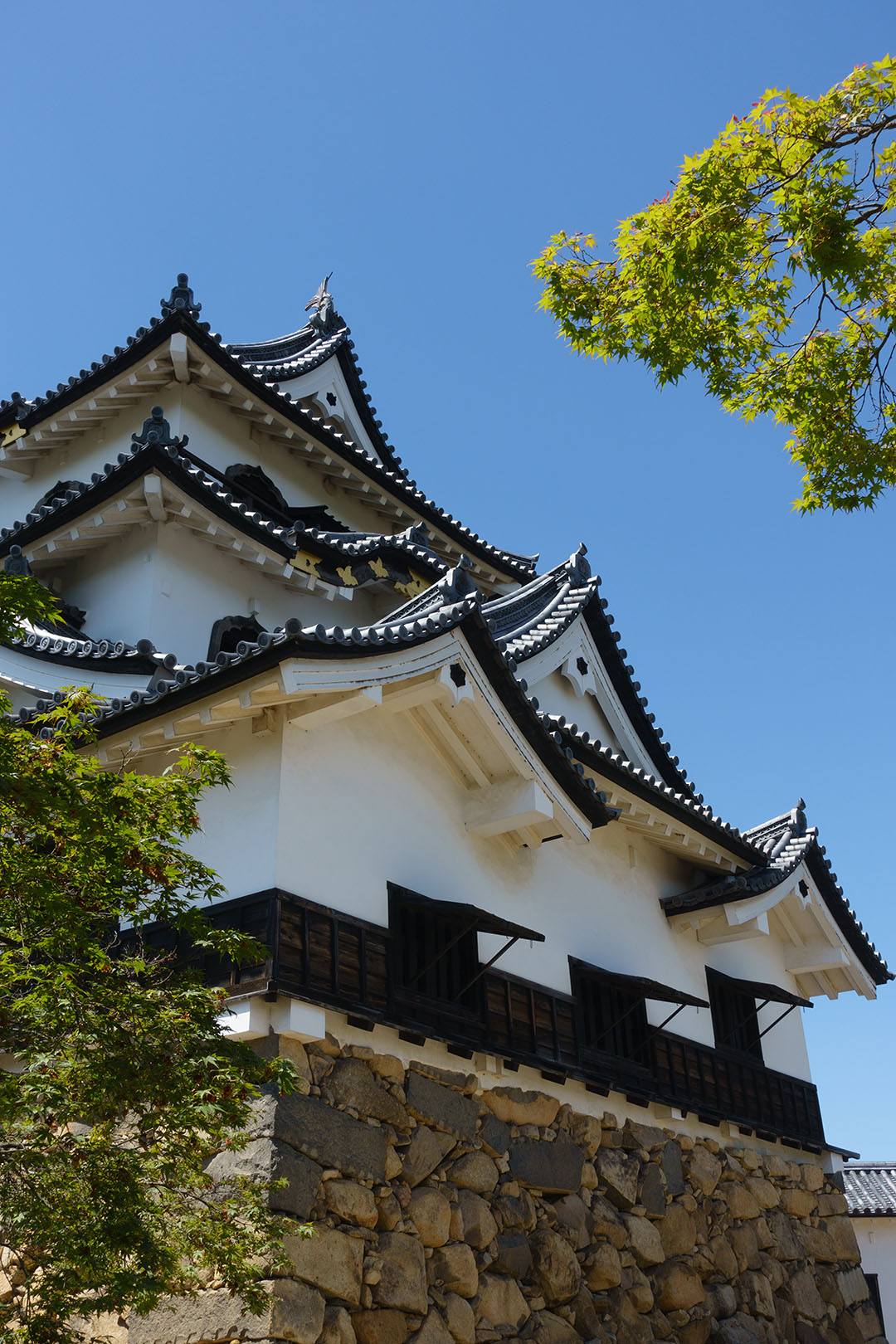 彦根城築城410年祭　ブルーインパルス_a0003166_235481.jpg