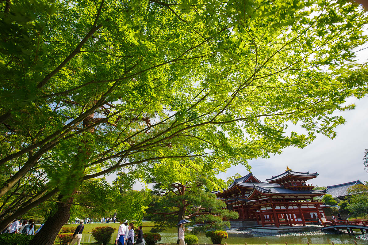 宇治 平等院_a0003166_23565373.jpg