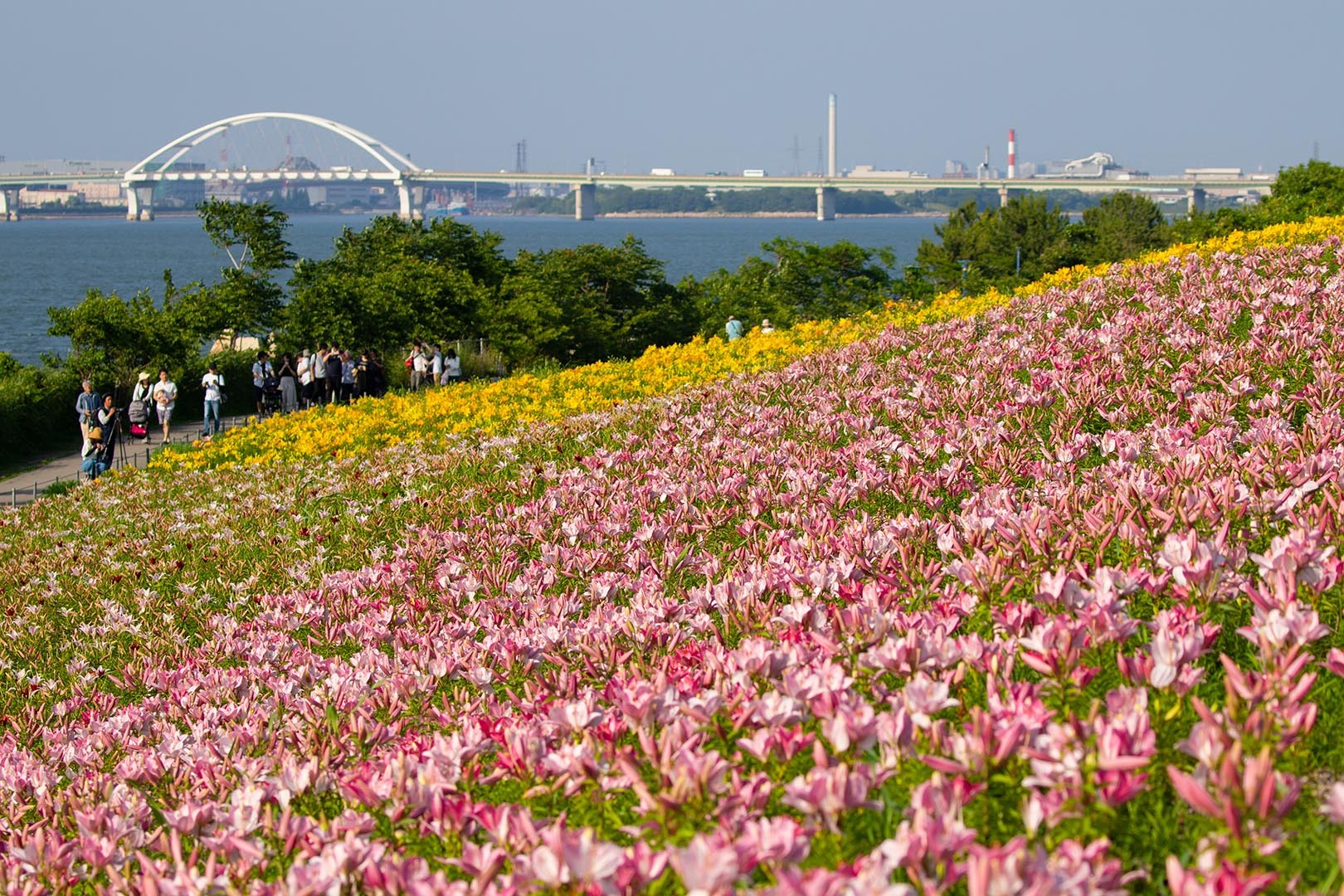 大阪舞洲ゆり園_a0003166_23574210.jpg