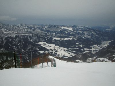 なし_a0003166_2357763.jpg