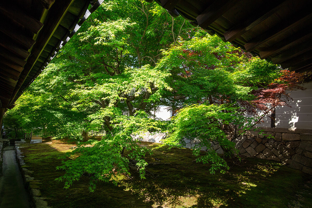 東福寺_a0003166_23585293.jpg