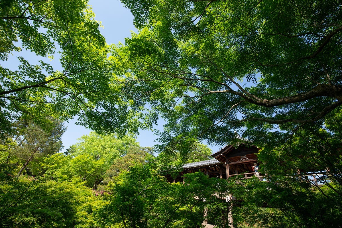 東福寺_a0003166_23585382.jpg