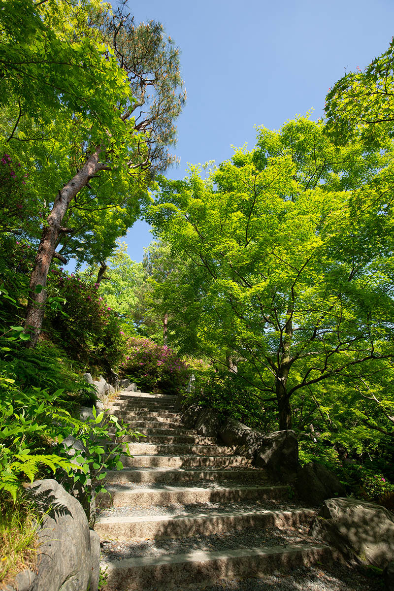 東福寺_a0003166_23590418.jpg