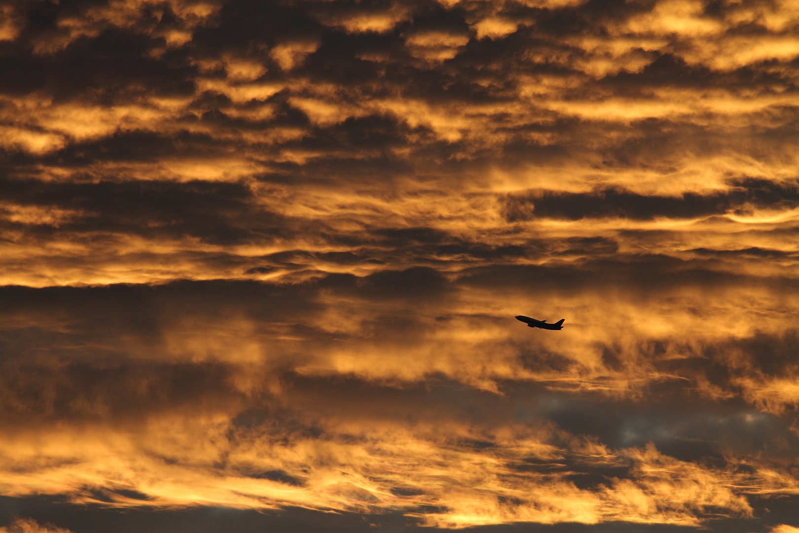 飛行機（千里川）_a0003166_23591482.jpg
