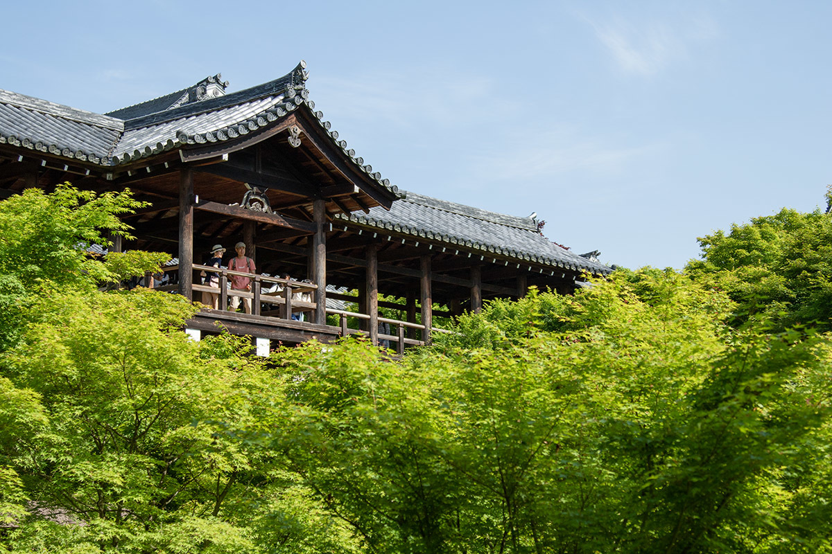 東福寺_a0003166_23591746.jpg