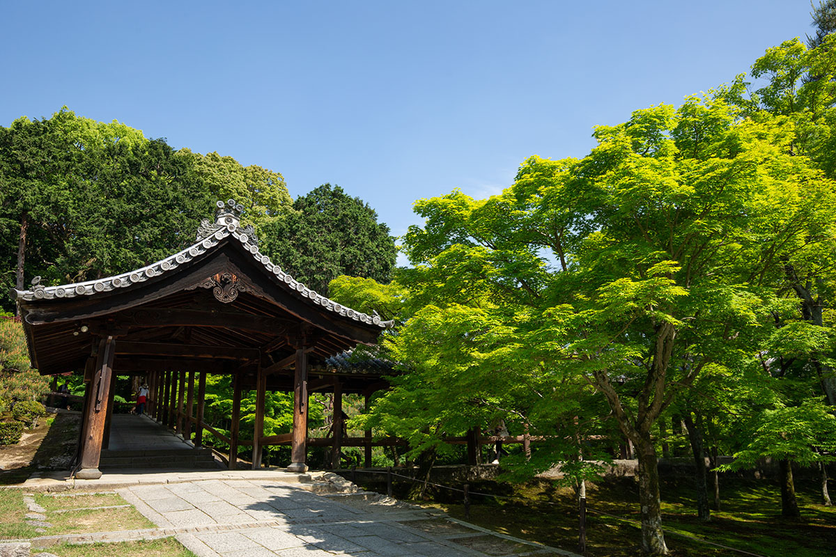 東福寺_a0003166_23591752.jpg