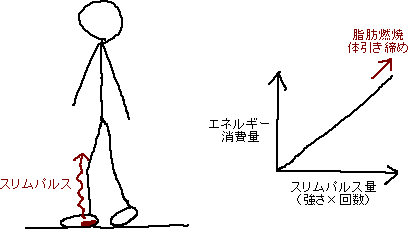 やせる靴_a0003166_237691.gif