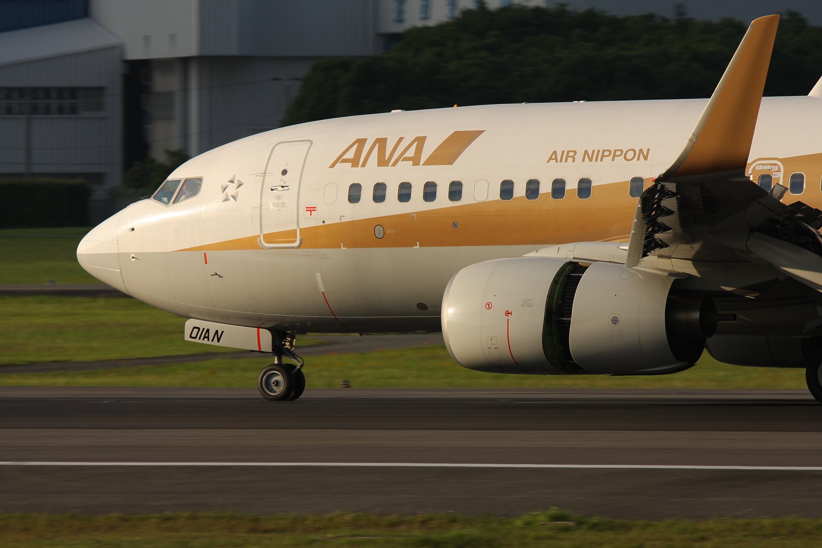 飛行機（千里川、伊丹スカイパーク）_a0003166_2392815.jpg