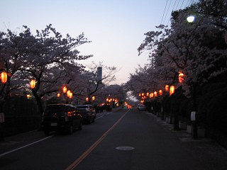 ちょうちん_a0003166_2463896.jpg