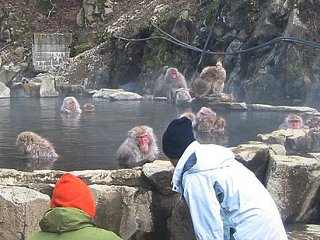 極楽の境地_a0003166_2501362.jpg