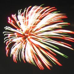 伊丹の花火の日_a0003166_252389.jpg