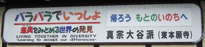 その時だけの表情_a0003166_273285.jpg
