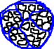 中身_a0003166_34582.gif