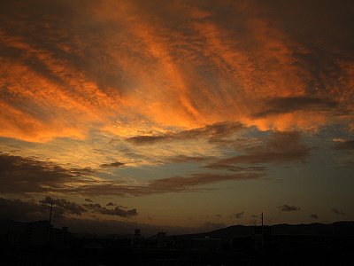 まだまだ_a0003166_4101854.jpg
