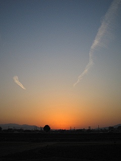 そら_a0003166_4413576.jpg