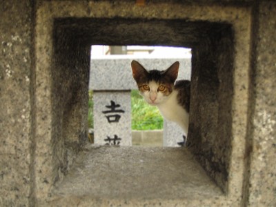 まだまだ_a0003166_461216.jpg